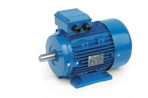 AC STANDARD MOTOR Single phase motor