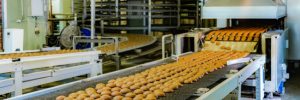 Food manufacturing plant